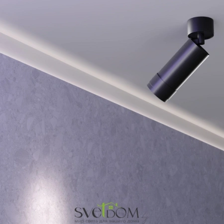 Потолочные светильники Maytoni C055CL-L12W3K-Z-B от Магазина Svetdom.by