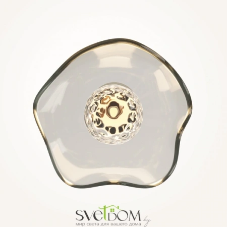 Настенные светильники MOD207WL-01BS Maytoni | Svetdom.by