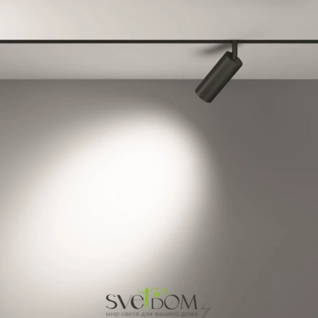 TR032-2-12W3K-S-B Maytoni