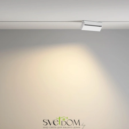 TR077-2-20W3K-W Maytoni