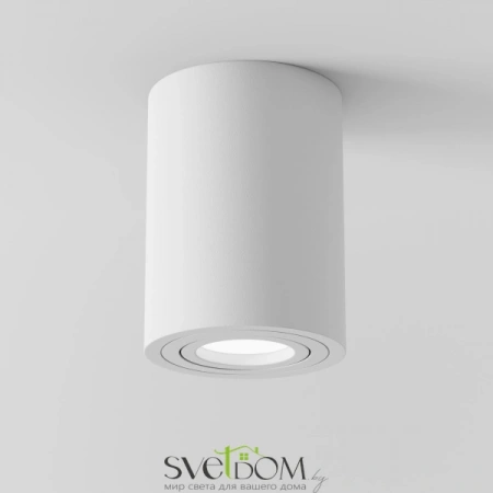 Фото Потолочные светильники Maytoni C016CL-01W Потолочные светильники Maytoni C016CL-01W от Магазина Svetdom.by
