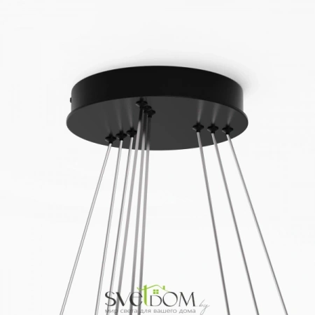 Подвесные светильники Maytoni MOD058PL-L100BK от Магазина Svetdom.by