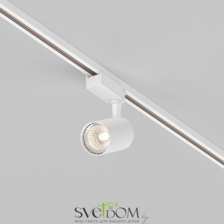 TR003-1-10W3K-S-W Maytoni