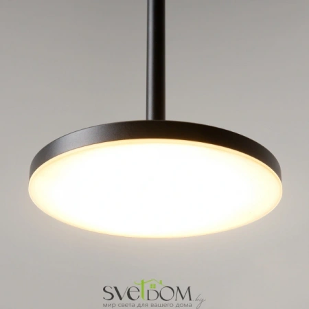 Подвесные светильники Maytoni P076PL-L12W3K-B от Магазина Svetdom.by