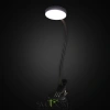 Citilux Ньютон CL803071N LED Лампа на прищепке с диммером Чёрная CITILUX