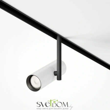 TR005-2-12W4K-BW Maytoni