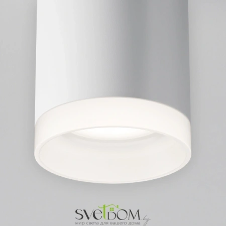 Потолочные светильники Maytoni C008CW-01W от Магазина Svetdom.by