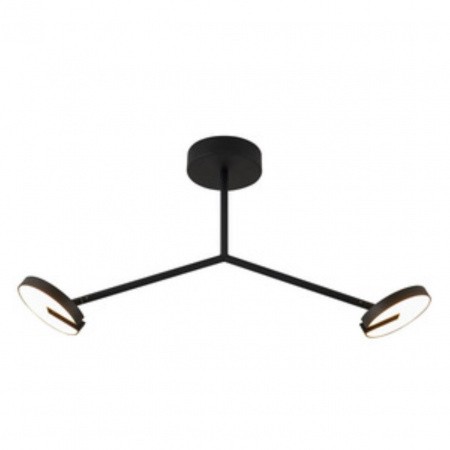 Люстры потолочные4401-2C Favourite | Svetdom.by