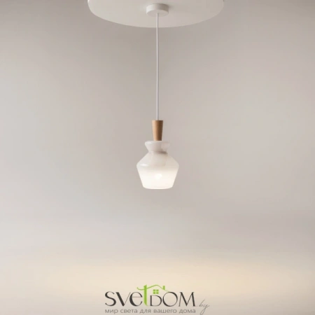 Подвесные светильники Maytoni MOD405PL-01W1 от Магазина Svetdom.by