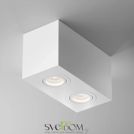 Потолочные светильники Maytoni C017CL-02W от Магазина Svetdom.by