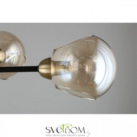 Люстры потолочныеOML-94207-12 Omnilux | Svetdom.by