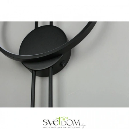 Настенные светильники APL.340.01.16 Aployt | Svetdom.by