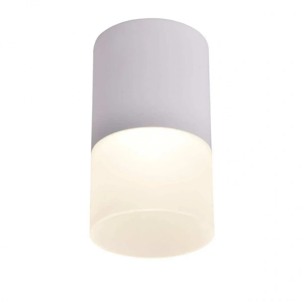 Потолочные светильники Favourite 3069-1C от Магазина Svetdom.by