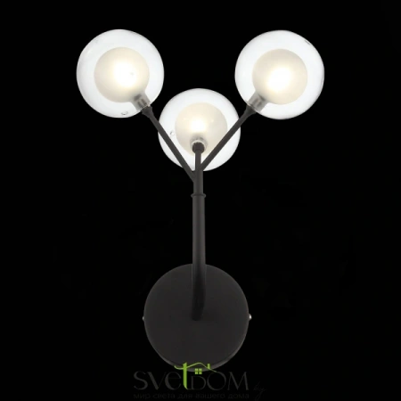 Бра SL376.401.03 ST LUCE | Svetdom.by