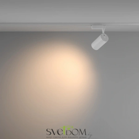 TR003-1-36W3K-W-W Maytoni