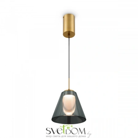 Подвесные светильники Freya FR5399PL-L4BS от Магазина Svetdom.by