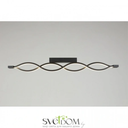 Настенно-потолочные светильники Aployt APL.002.12.36 от Магазина Svetdom.by