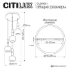 Подвесной светильник Citilux LASS CL249021 CITILUX