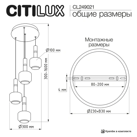 Подвесной светильник Citilux LASS CL249021 CITILUX