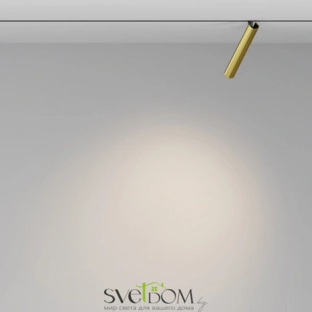 TR141-2-6W3K-M-BS Maytoni