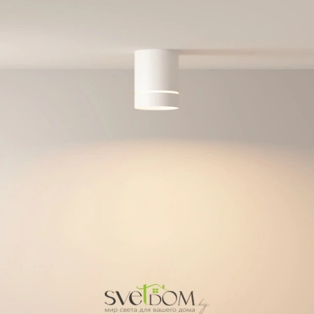 Потолочные светильники Maytoni C085CL-9W3K-W от Магазина Svetdom.by