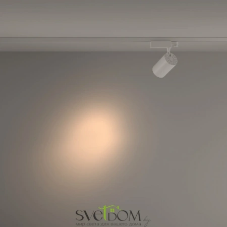 TR029-3-20W3K-S-W Maytoni