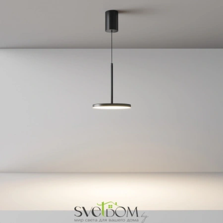 Подвесные светильники Maytoni P076PL-L12W3K-B от Магазина Svetdom.by