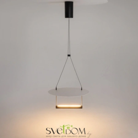 Подвесные светильники Maytoni MOD280PL-L23B3K от Магазина Svetdom.by