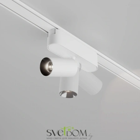 TR103-1-5W4K-M-W Maytoni