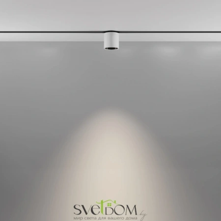 TR132-2-7W4K-W Maytoni