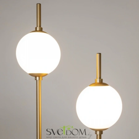 Z020FL-L12BS3K Maytoni