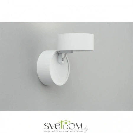 Накладные светильники Omnilux OML-101309-12 от Магазина Svetdom.by