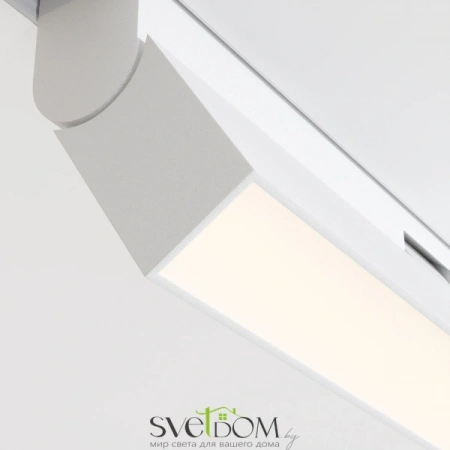 TR036-2-12W4K-W Maytoni