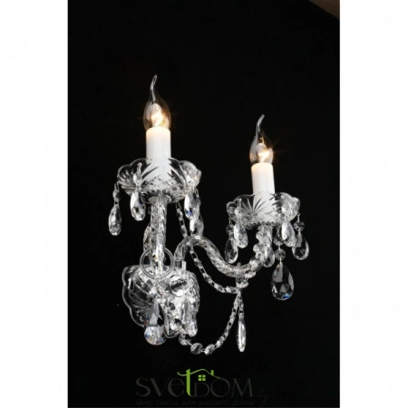 Настенные светильники APL.814.01.02 Aployt | Svetdom.by