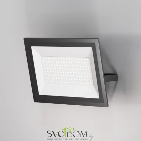 FL001-L100B6K Maytoni