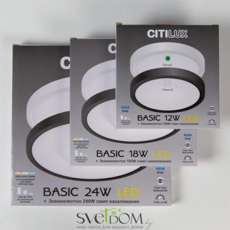 Citilux Бейсик CL738241V Светильник накладной Чёрный CITILUX