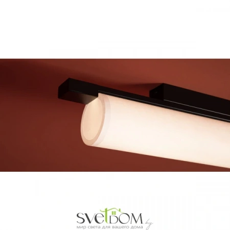 Потолочные светильники Freya FR5625CL-L20B от Магазина Svetdom.by