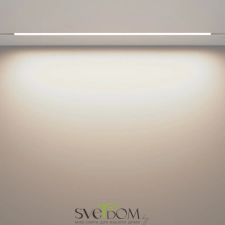 Трековый светильник Technical TR030-2-30W4K-W Maytoni