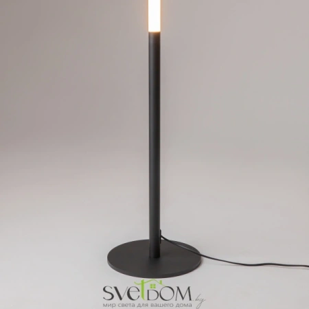 Напольный светильник (торшер) Maytoni Z012FL-L18B3K Maytoni