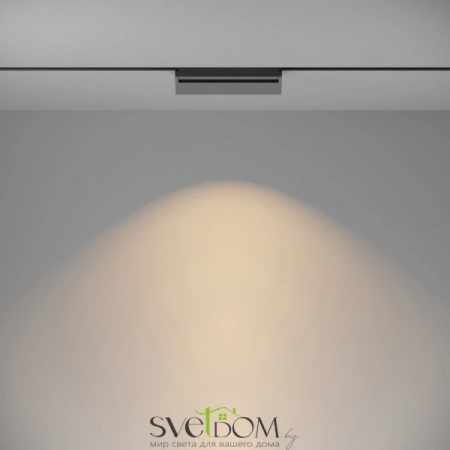 TR075-2-20W3K-B Maytoni