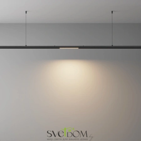 Светильники Maytoni C147CL-L300-6W3K-B от Магазина Svetdom.by