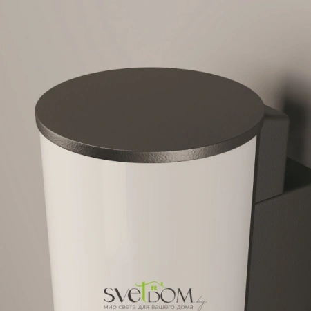 Настенные светильники O434WL-L12GF3K Maytoni | Svetdom.by