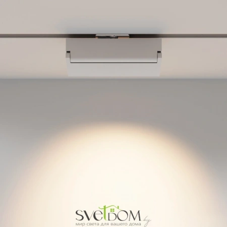 TR223-1-12WCCT-W-W Maytoni