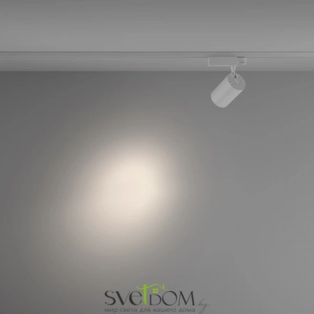 TR029-3-26W4K-S-W Maytoni