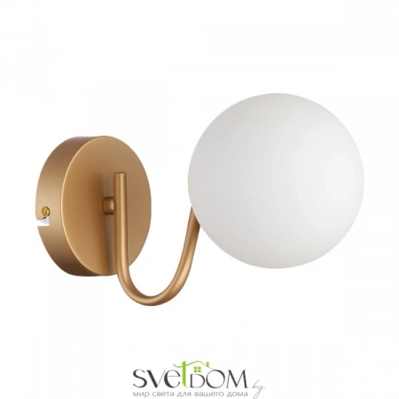Настенные светильники SLE220601-01 EVOLUCE | Svetdom.by