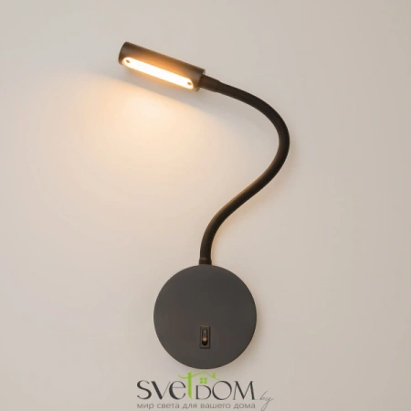 Настенные светильники C035WL-L3B3K Maytoni | Svetdom.by