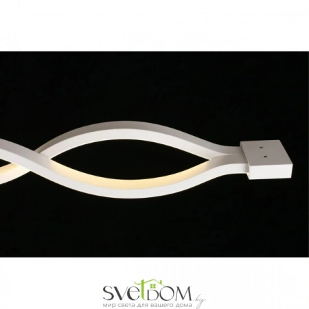 Настенно-потолочные светильники Aployt APL.002.02.36 от Магазина Svetdom.by