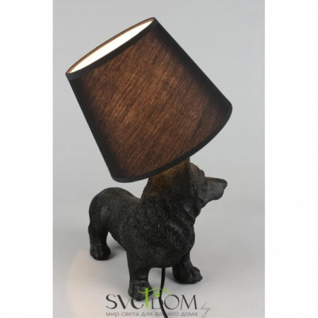 OML-16304-01 Omnilux