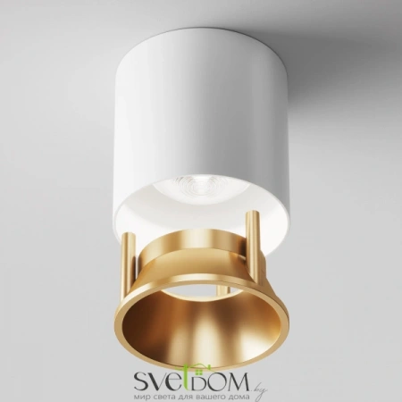 Потолочные светильники Maytoni C064CL-L12W4K от Магазина Svetdom.by