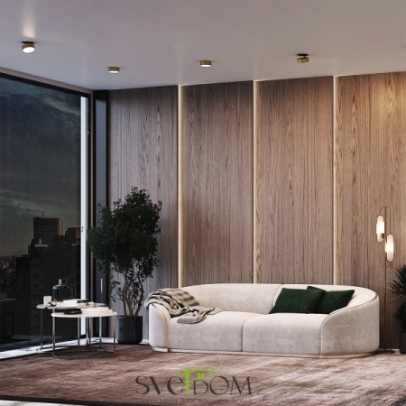 Встраиваемые светильники Maytoni DL024-12W4K-W от Магазина Svetdom.by